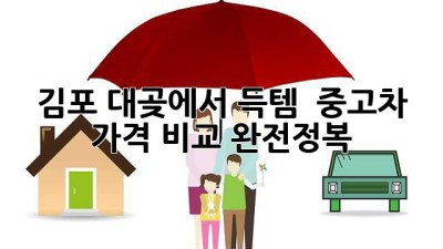 김포 대곶에서 득템?! 😎 중고차 가격 비교 완전정복 🚗💨